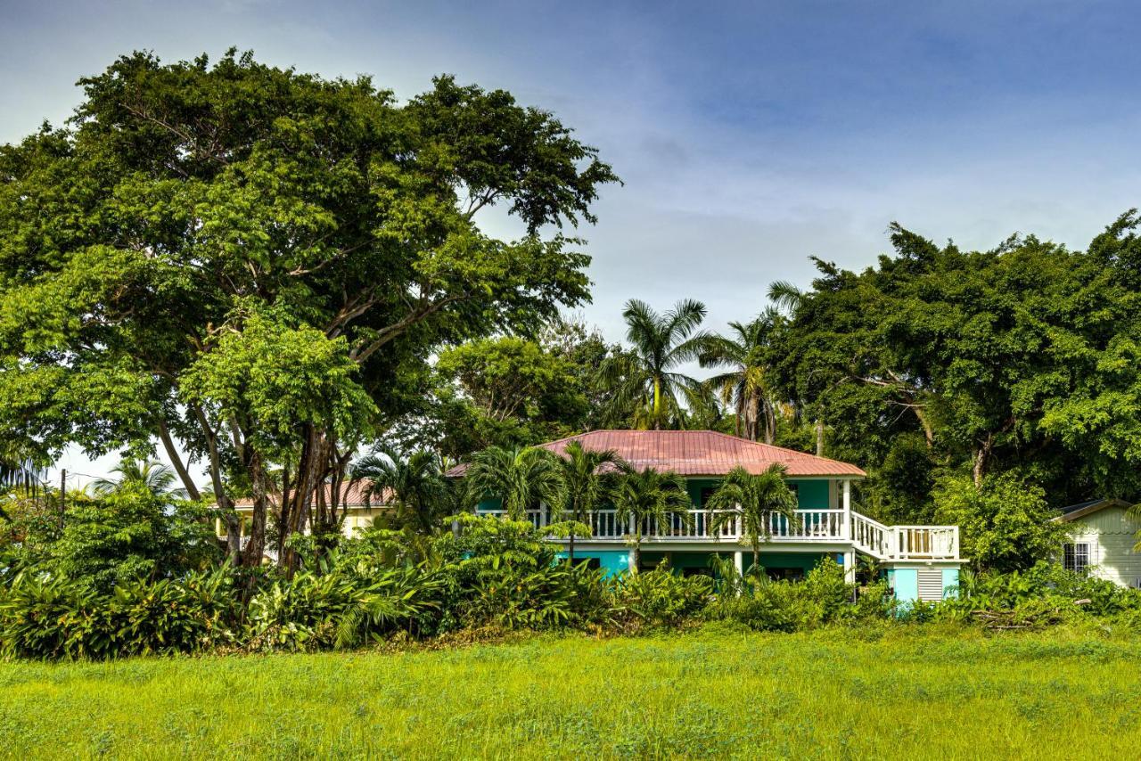 The Sea Glass Inn Placencia Exterior foto